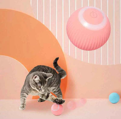 Magic Interactive Ball